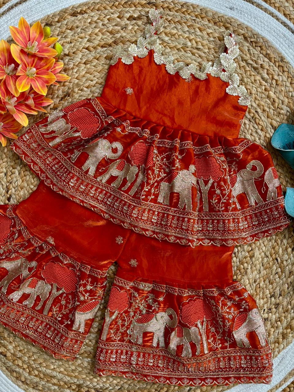 Baby Girl Beautiful Elephant Embroidered Ethnic Dress Set